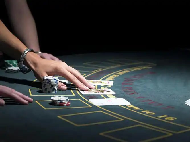 casino66